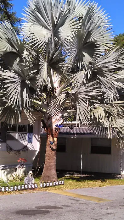Town & Country Mobile Home Park Picture 7