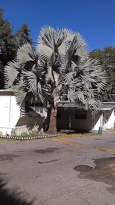 Town & Country Mobile Home Park Picture 10