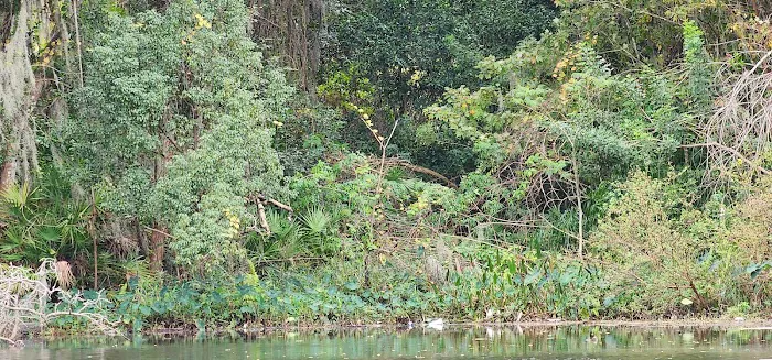 Oak Crest Mobile Park Picture 5