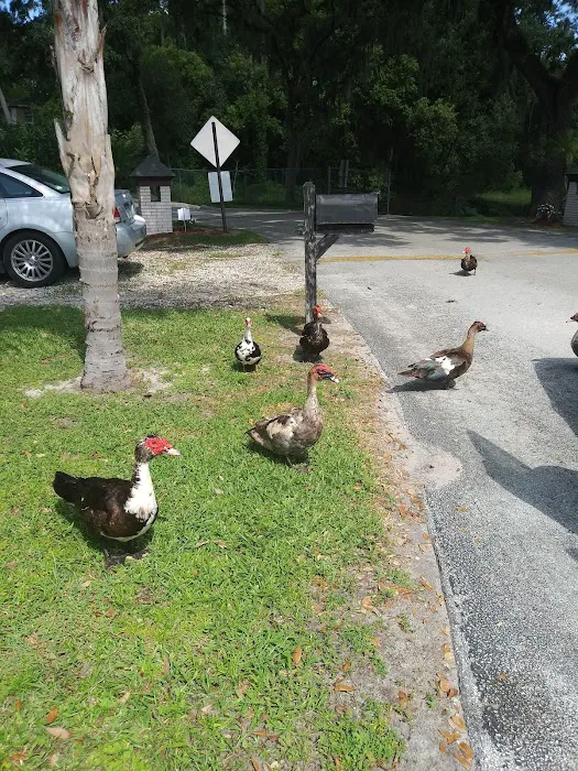 Oak Crest Mobile Park Picture 6