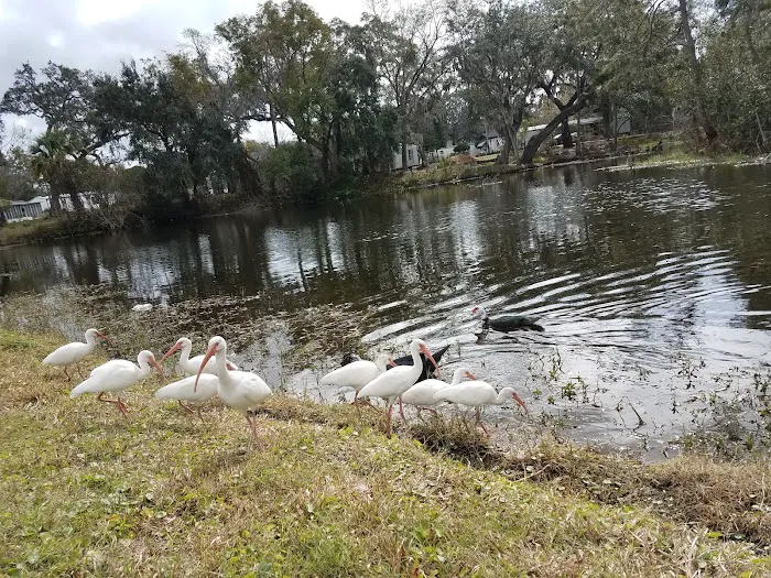 Oak Crest Mobile Park Picture 3