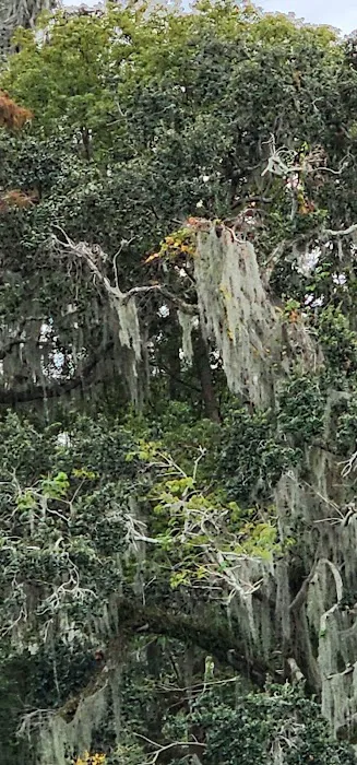 Oak Crest Mobile Park Picture 8