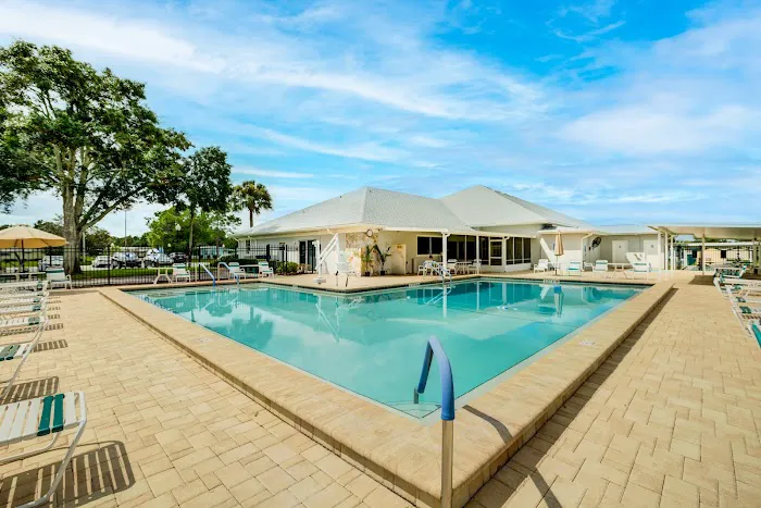 Palm Valley Picture 1