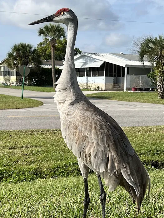 Palm Valley Picture 3