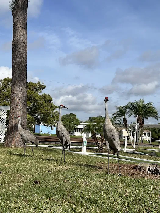 Palm Valley Picture 9