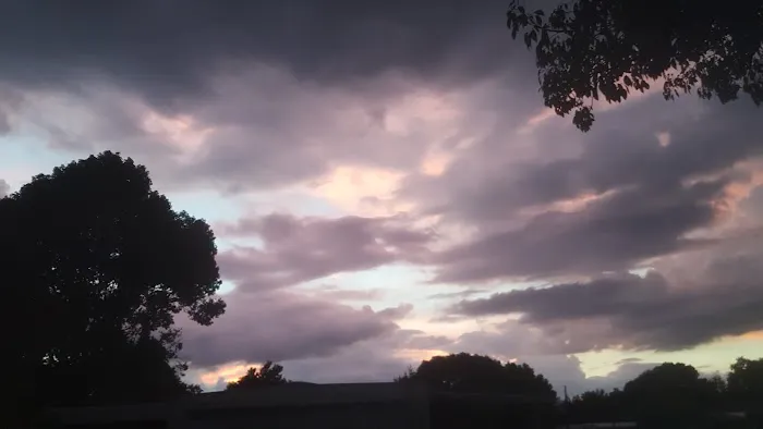 Palm Valley Picture 7