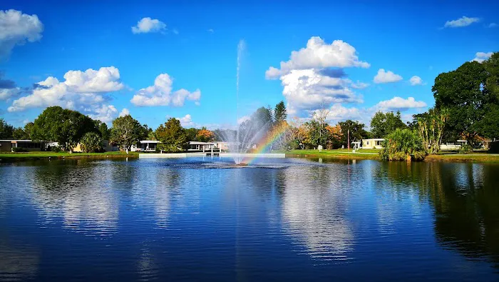 Palm Valley Picture 4