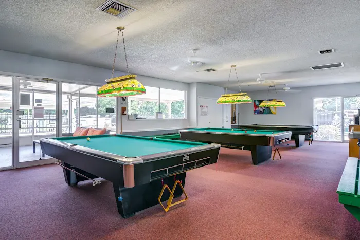 Palm Valley Picture 6