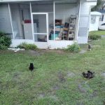 Lakeshore Management