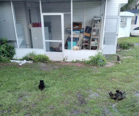 Lakeshore Management