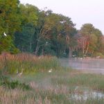 Killarney Mobile Homes & RV Court