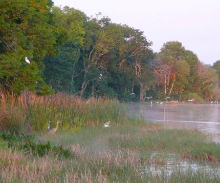 Killarney Mobile Homes & RV Court