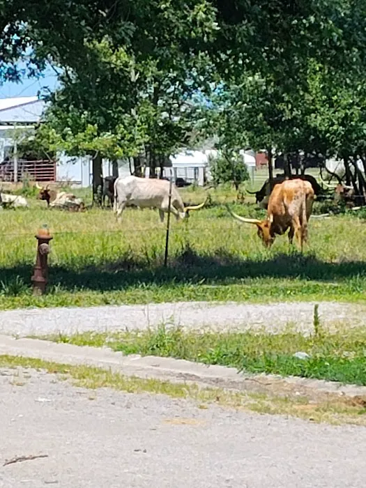 Crossroads Mobile Home Park Picture 4