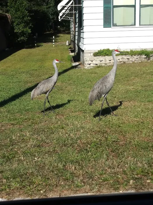 Fort Dade Mobile Home Park Picture 4