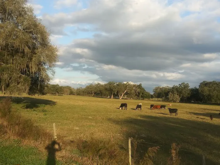 Fort Dade Mobile Home Park Picture 1