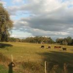 Fort Dade Mobile Home Park