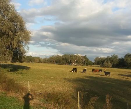 Fort Dade Mobile Home Park