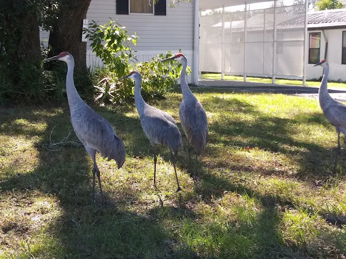 Fort Dade Mobile Home Park Picture 3