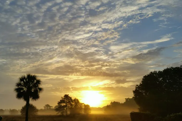 Florida Grande Motor Coach Resort Picture 6