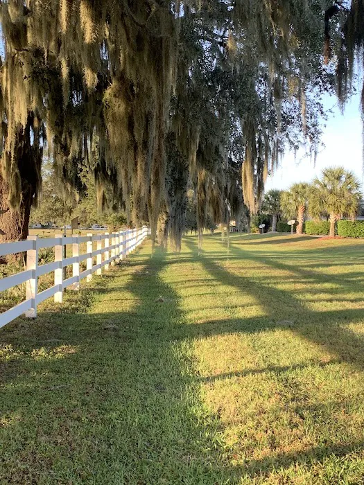 Florida Grande Motor Coach Resort Picture 9