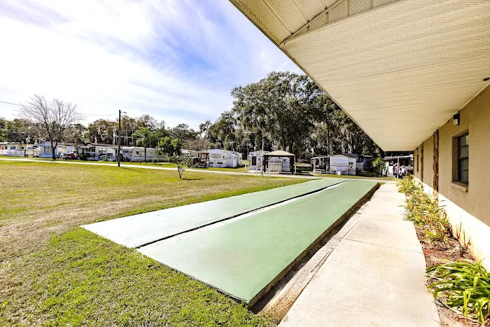 Dade City RV Resort Picture 3