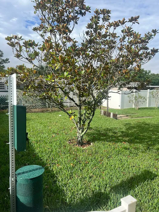 Gulf Breeze RV Park Picture 6