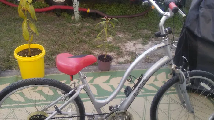 Gulf Breeze RV Park Picture 10