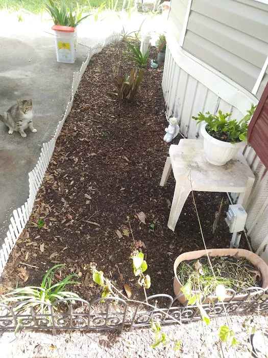 Forest Green Acres Picture 5