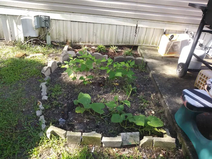 Forest Green Acres Picture 10