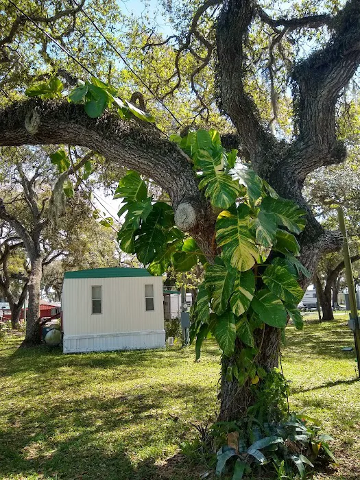 72 Shady Acres mobile home park Picture 6