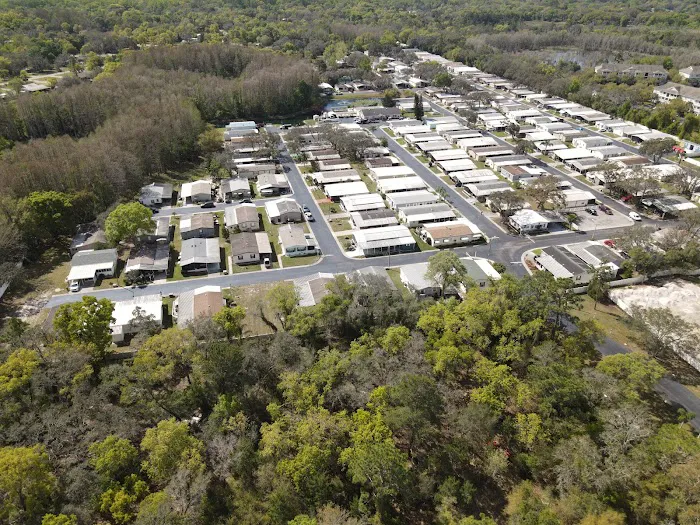 Bayonet Point Village Picture 5