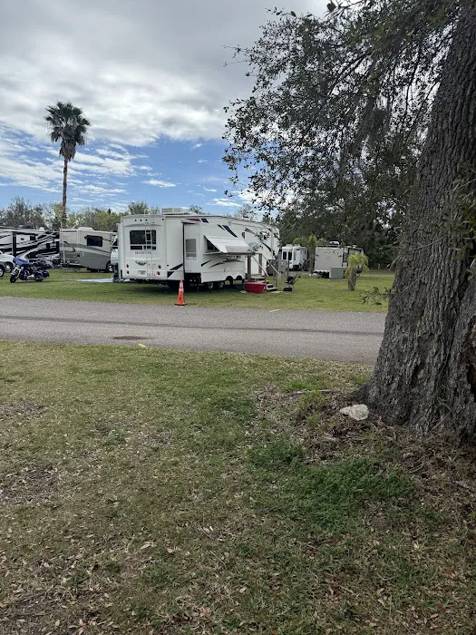 Daytona RV Park Picture 3