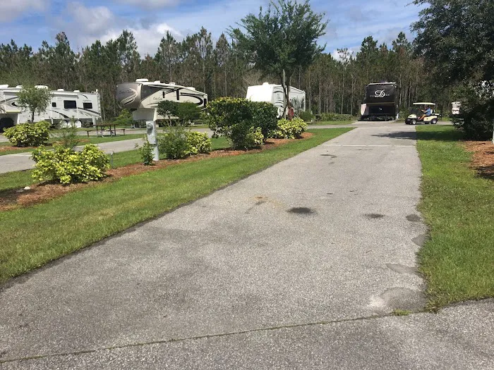 International RV Park & Campground Picture 5