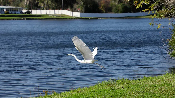 Lakeview Estates Picture 7