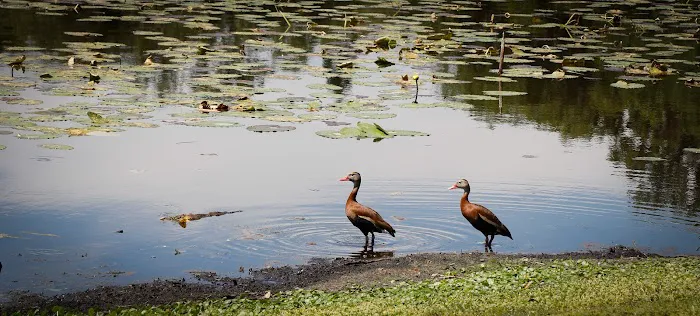 Timber Village Mobile Home Park Picture 9