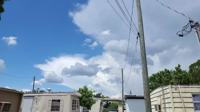 Homes For Sale Picture 6