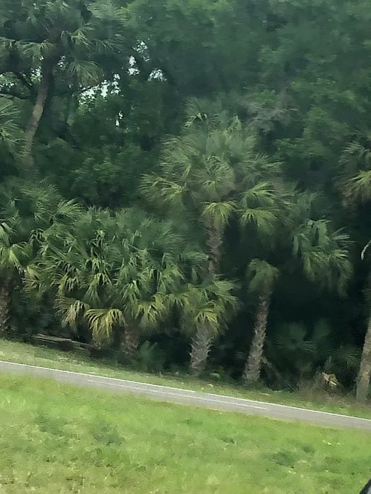 Hidden River RV Park Picture 10