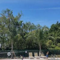 Deerwood Manufactured Home Mobile ico