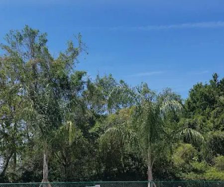 Deerwood Manufactured Home Mobile