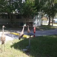 Riverside Mobile Home Community ico