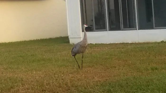 Tamarack East Mobile Home Park Picture 4