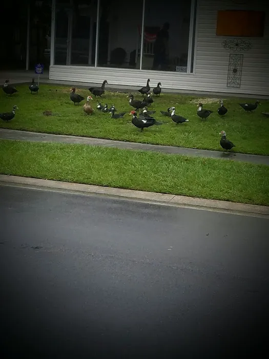 Lynnwood Estates Picture 5