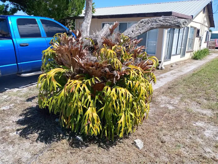 Lopez RV Park & Marina Picture 3