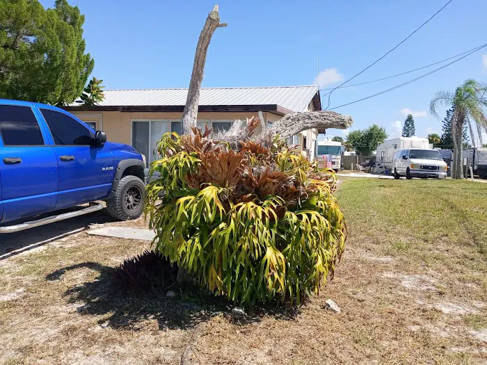 Lopez RV Park & Marina Picture 9