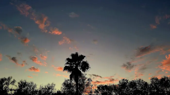 Morningside RV Estates Picture 7