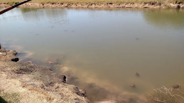 Country Aire Estates Picture 3