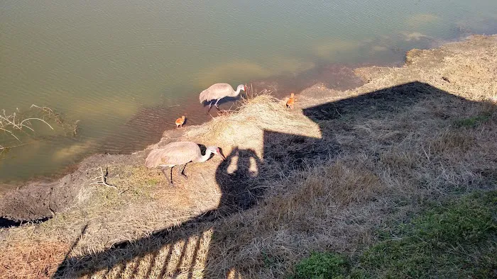 Country Aire Estates Picture 2