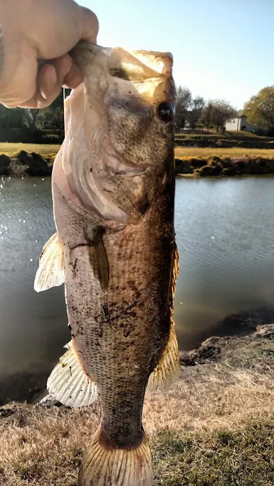 Country Aire Estates Picture 1