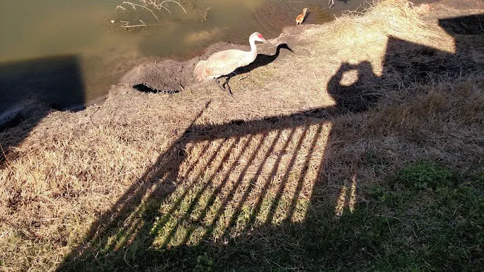 Country Aire Estates Picture 8