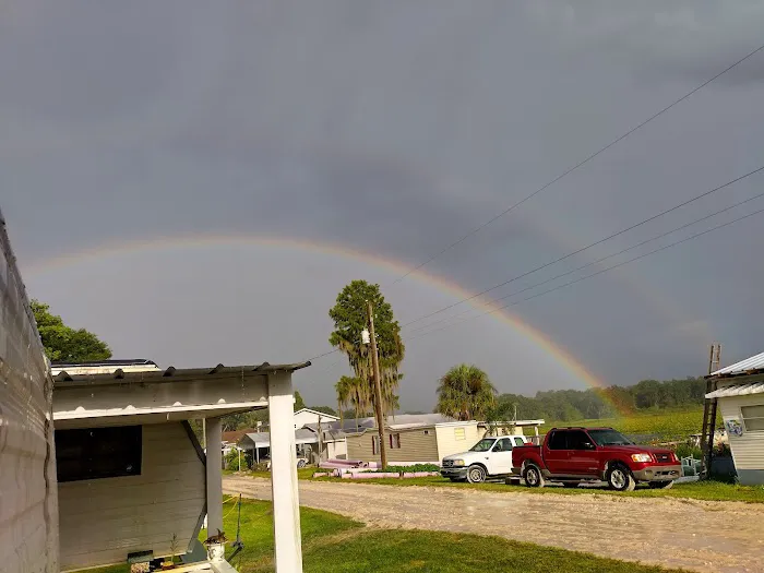 Lake Pasadena RV Park & Fish Picture 9